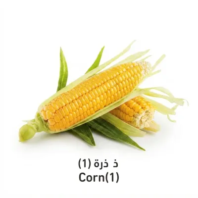 Corn (1)